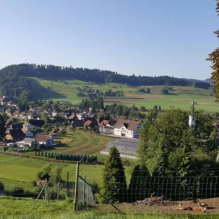Apartamento Brächbühl Marie Huus *